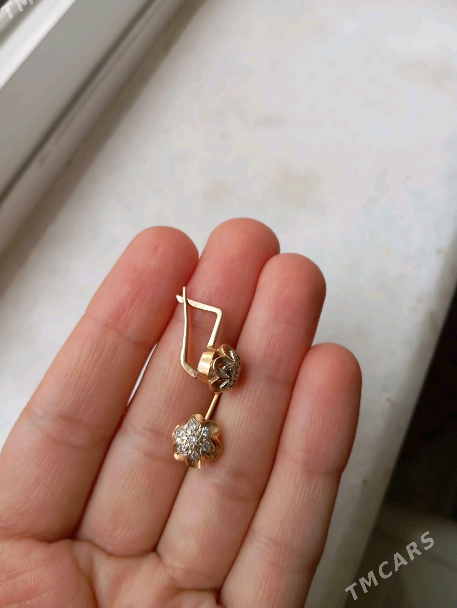 gyzyl gulakhalka - Köşi - img 2