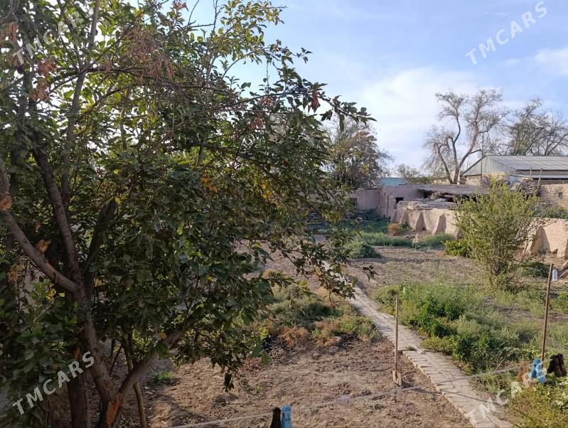 Джай меркезден - Gurbansoltan Eje - img 5