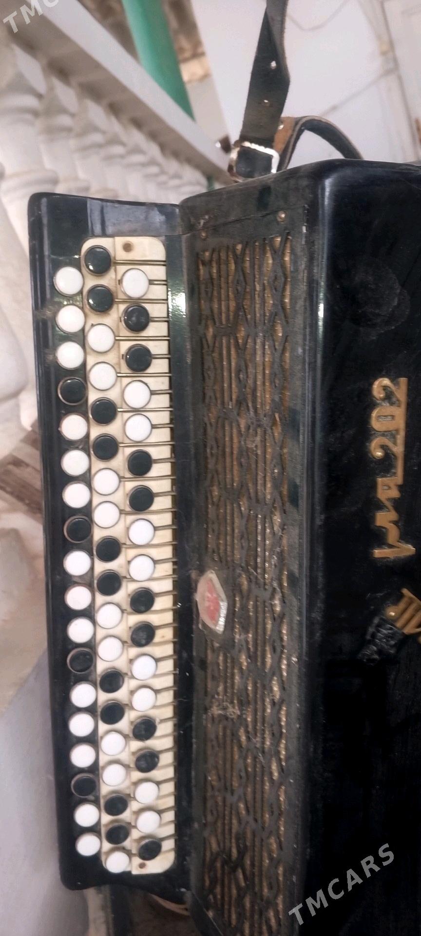 baýan okardion - Балканабат - img 2