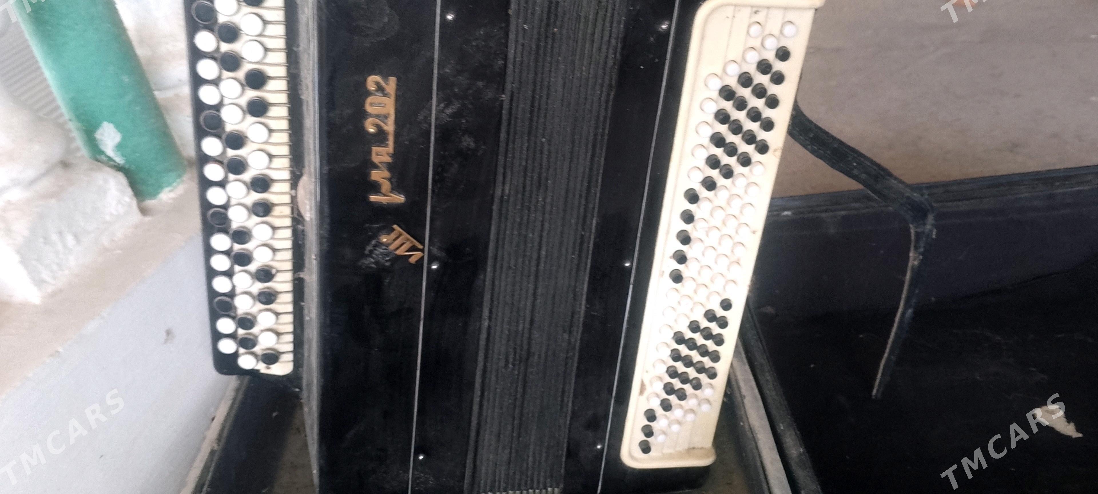 baýan okardion - Балканабат - img 3