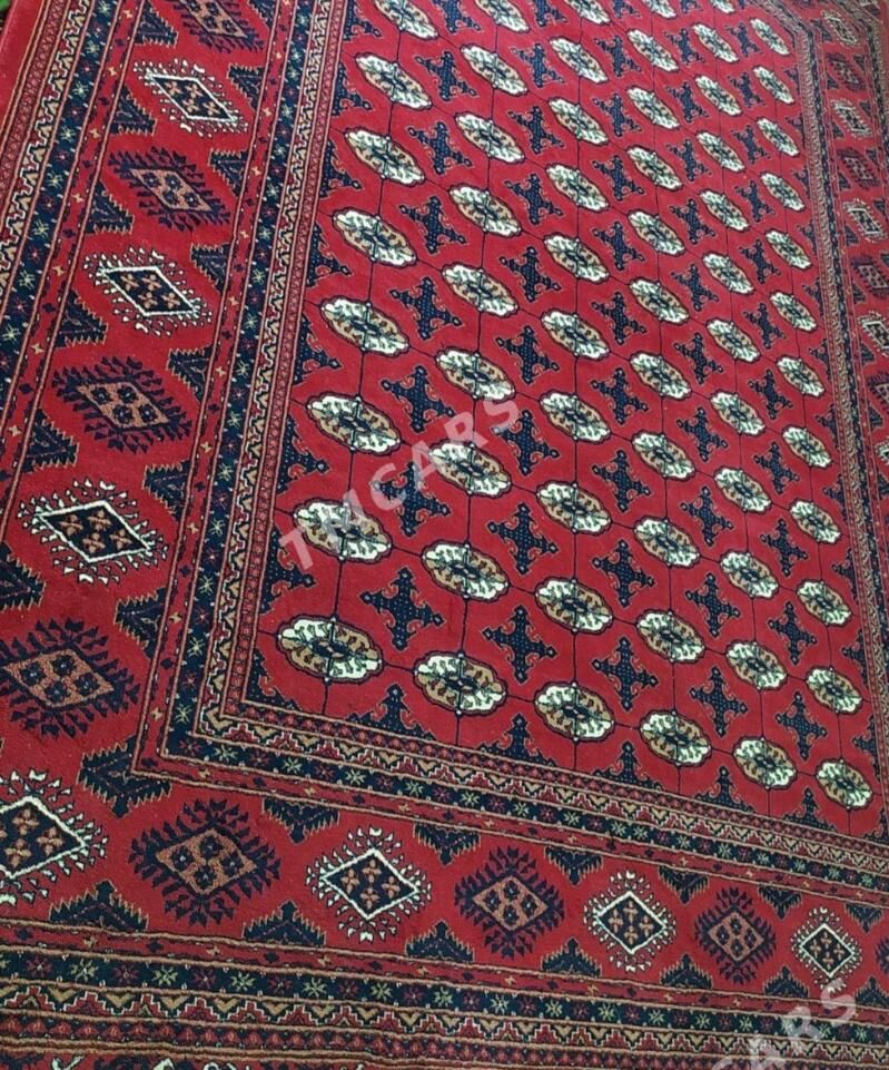 Haly Türkiye - Balkanabat - img 2