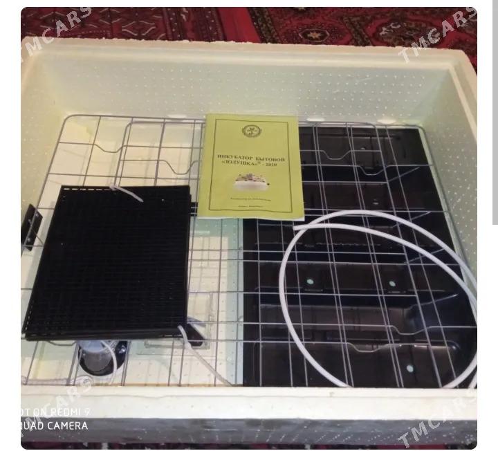 Inkubator Zolushka - Дашогуз - img 4