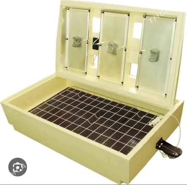 Inkubator Zolushka - Дашогуз - img 3