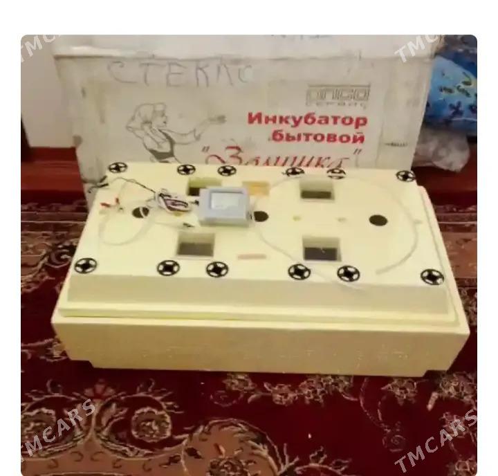 Inkubator Zolushka - Дашогуз - img 2