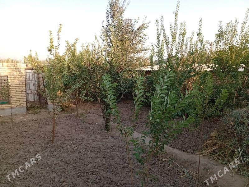 Сатлык дача - Туркменабат - img 8