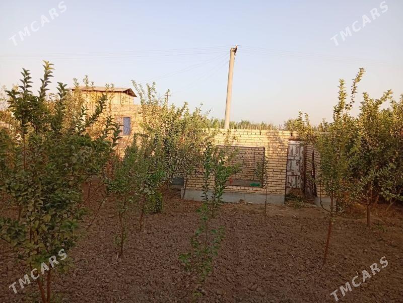 Сатлык дача - Туркменабат - img 10