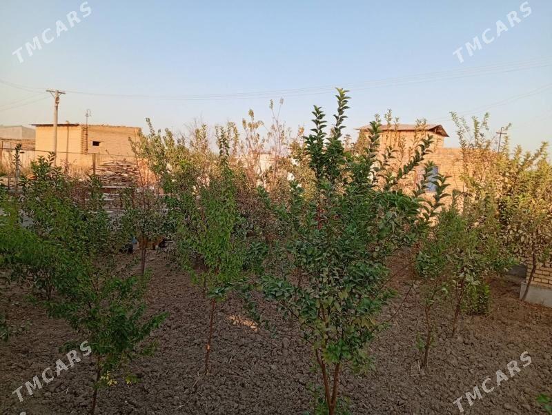 Сатлык дача - Туркменабат - img 9