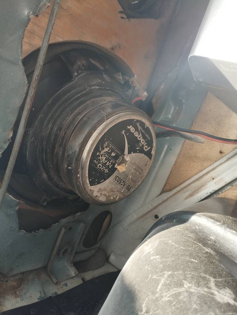 Pioneer garpyz 800 TMT - Ak bugdaý etraby - img 3