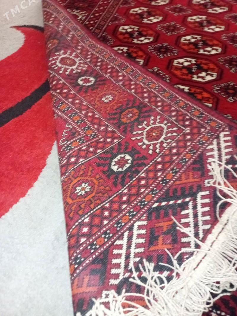 ARTEL HALY - Parahat 7 - img 2