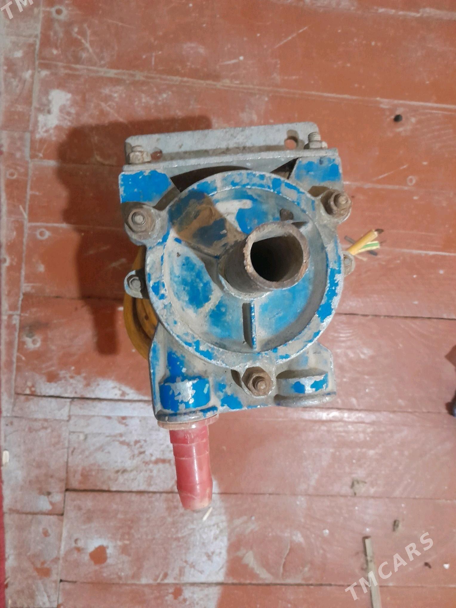 kama nasoz - Şabat etr. - img 2