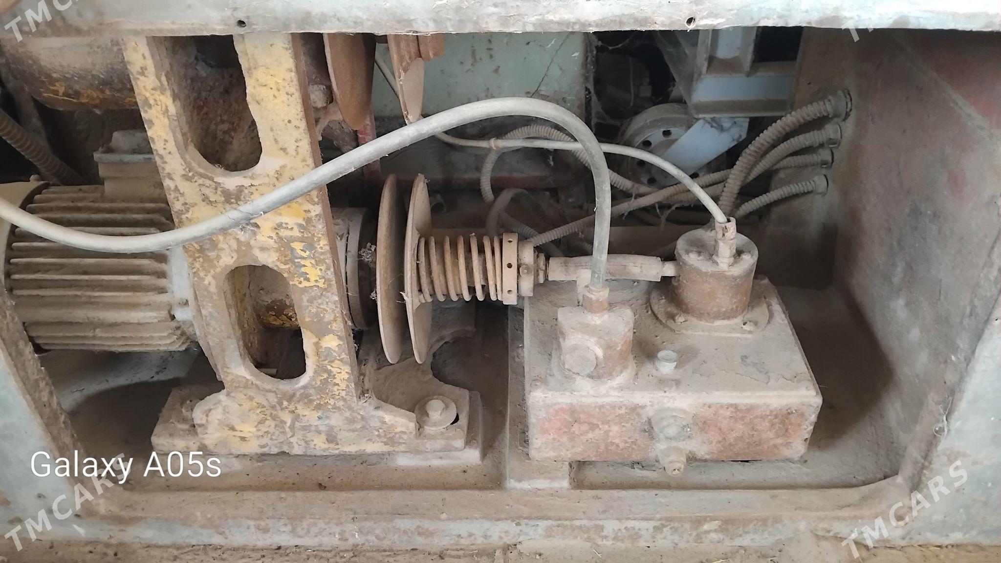 Tokar stanok - Mary - img 3