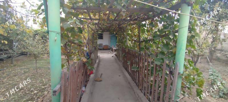 plan jay tayyn - Boldumsaz - img 5