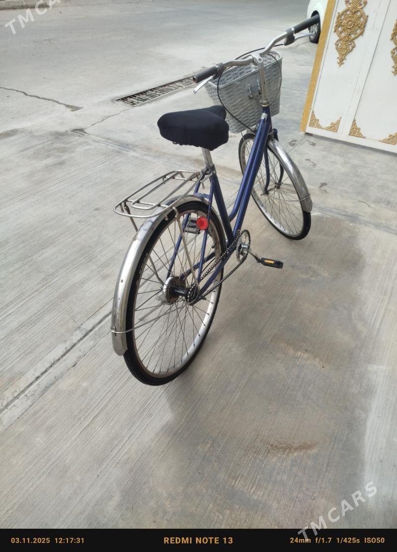 Tigr - Кипджак - img 1