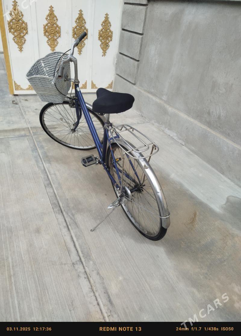 Tigr - Кипджак - img 5