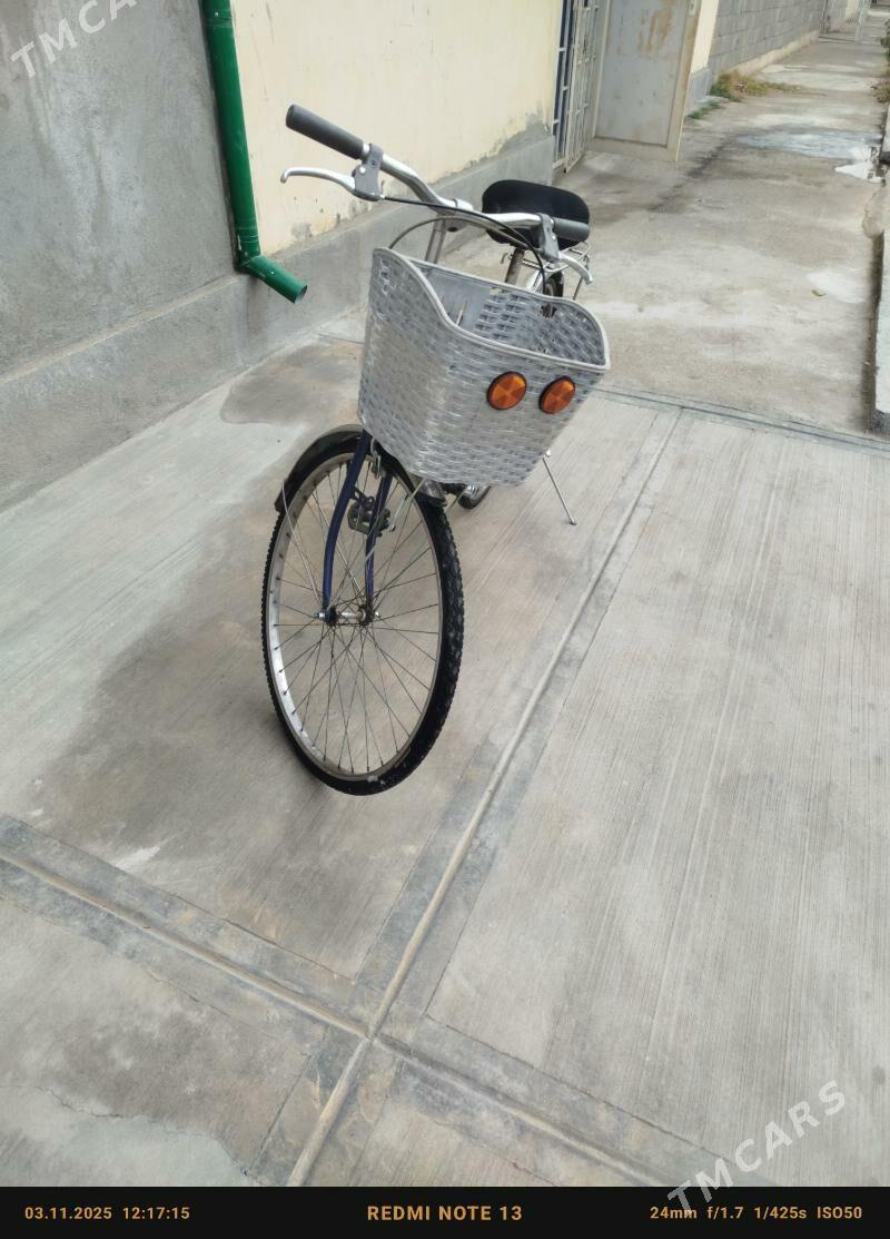 Tigr - Кипджак - img 3