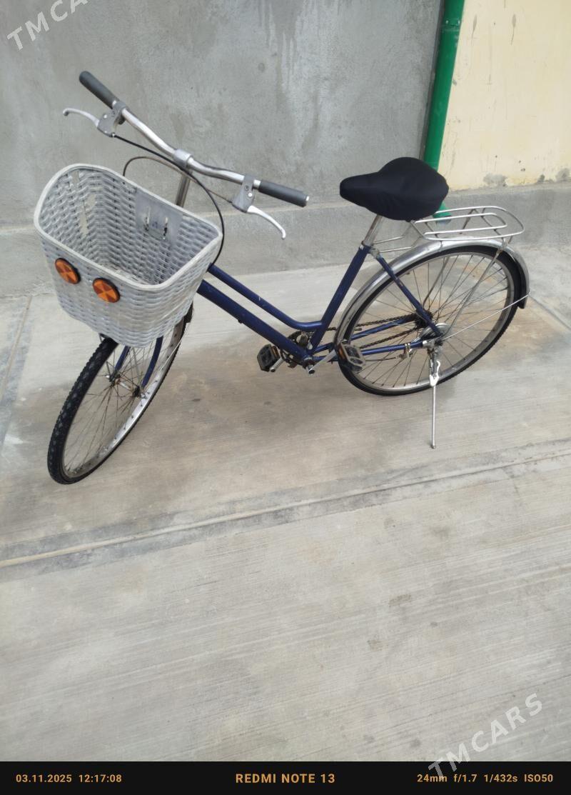 Tigr - Кипджак - img 2