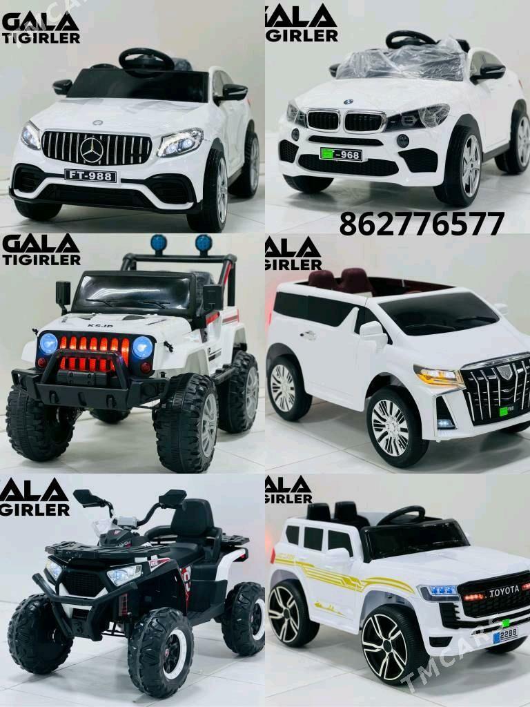 TIGIR SAMAKAT MASYN KALYASGA - Gurtly - img 7