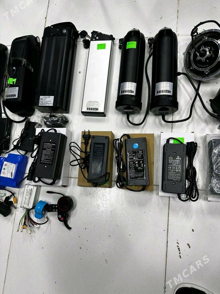 TIGIR SAMAKAT ZAPJAS BATAREY - Gurtly - img 1