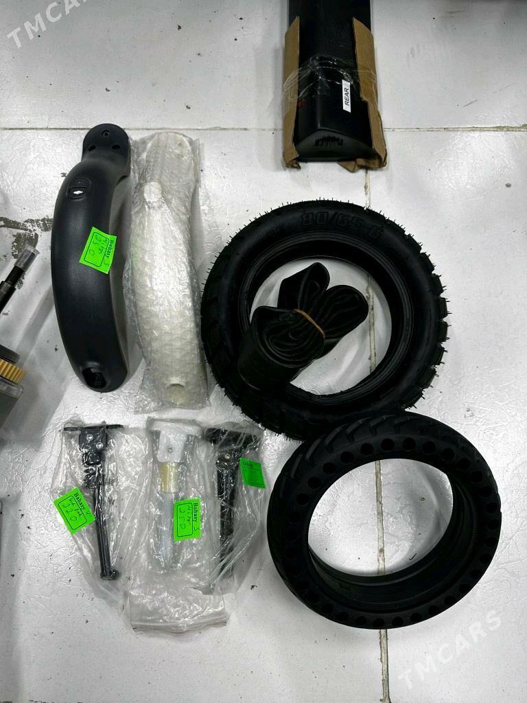 TIGIR SAMAKAT ZAPJAS BATAREY - Gurtly - img 7