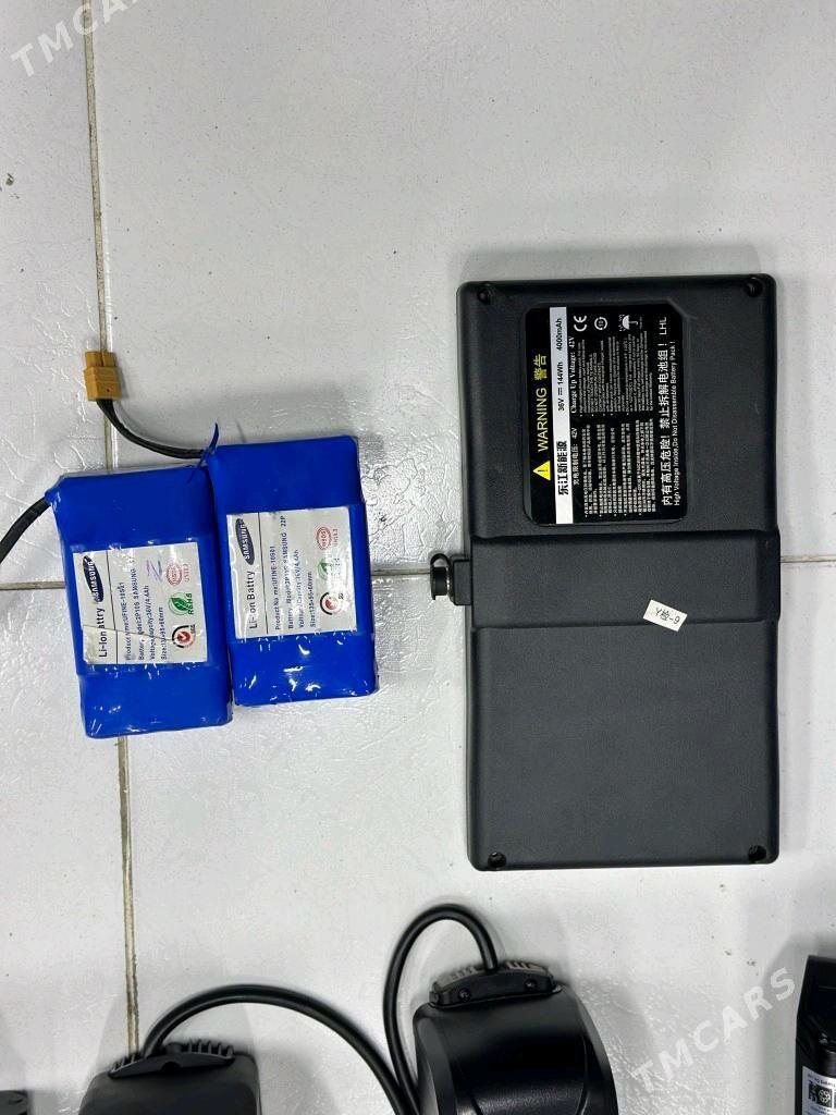 TIGIR SAMAKAT ZAPJAS BATAREY - Gurtly - img 5