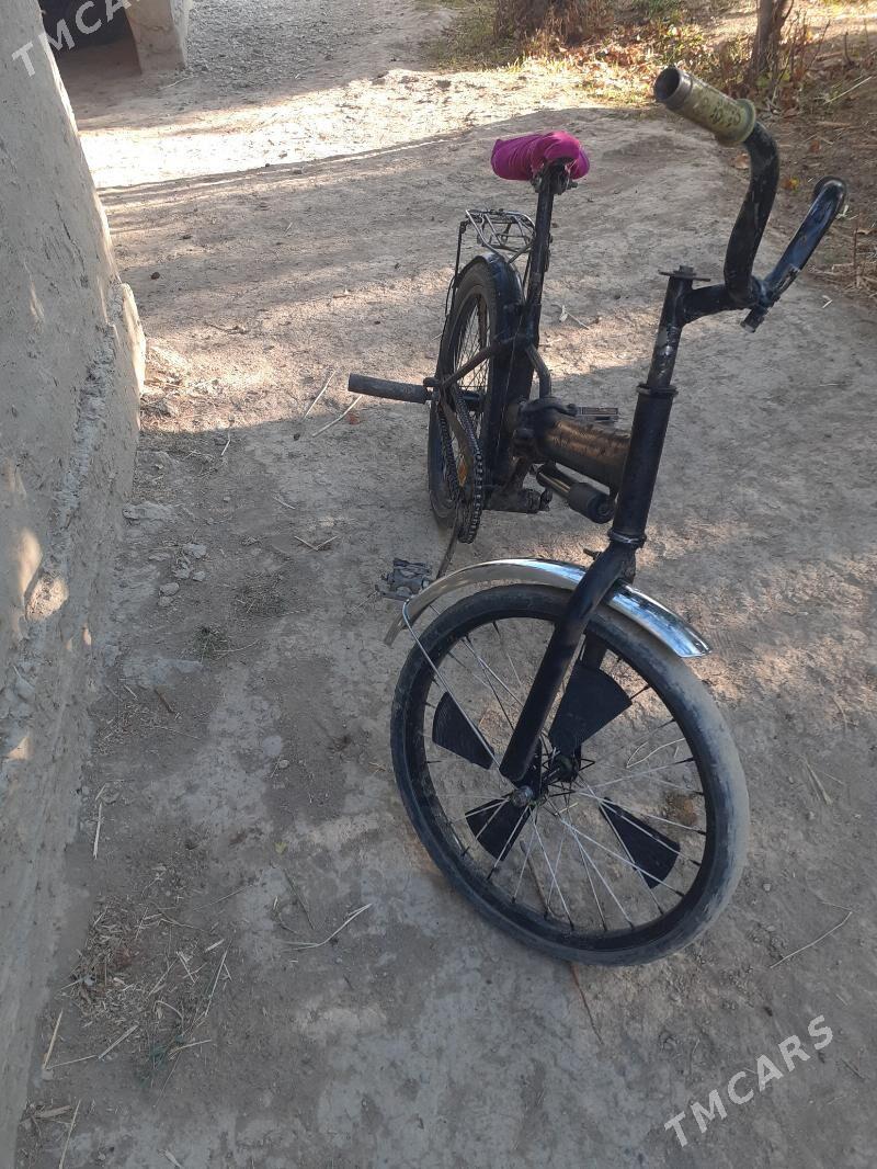 Tigir - Бахарден - img 1