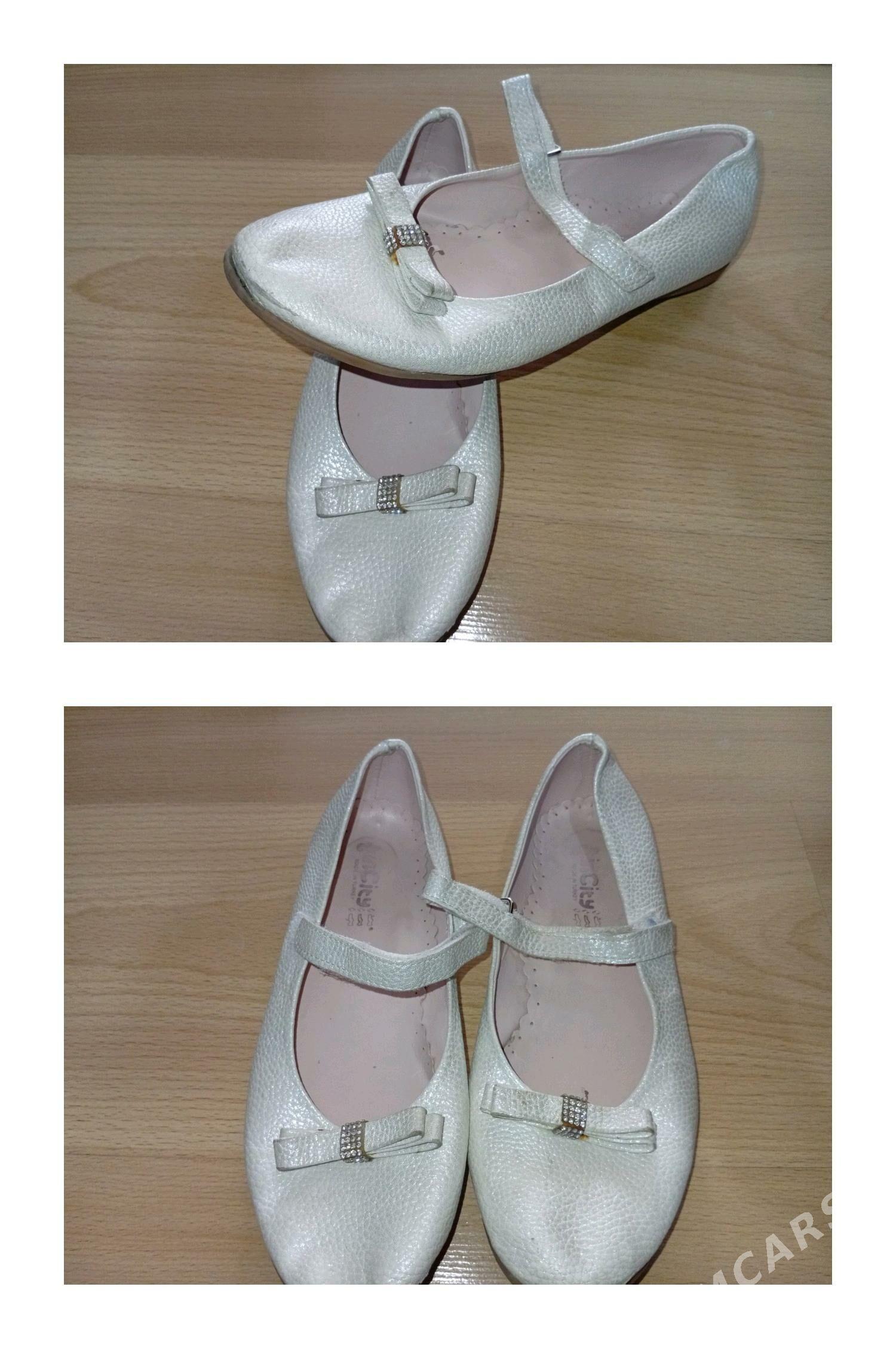 caga kowusleri - Кëши - img 1