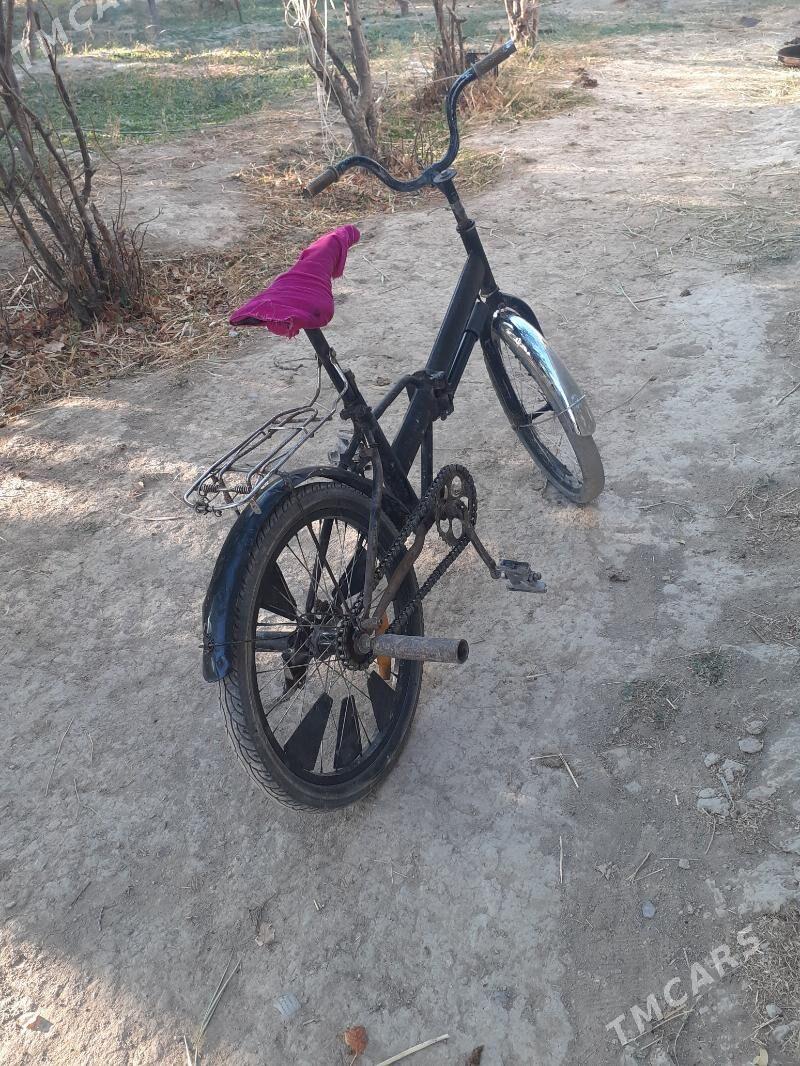 Tigir - Бахарден - img 2