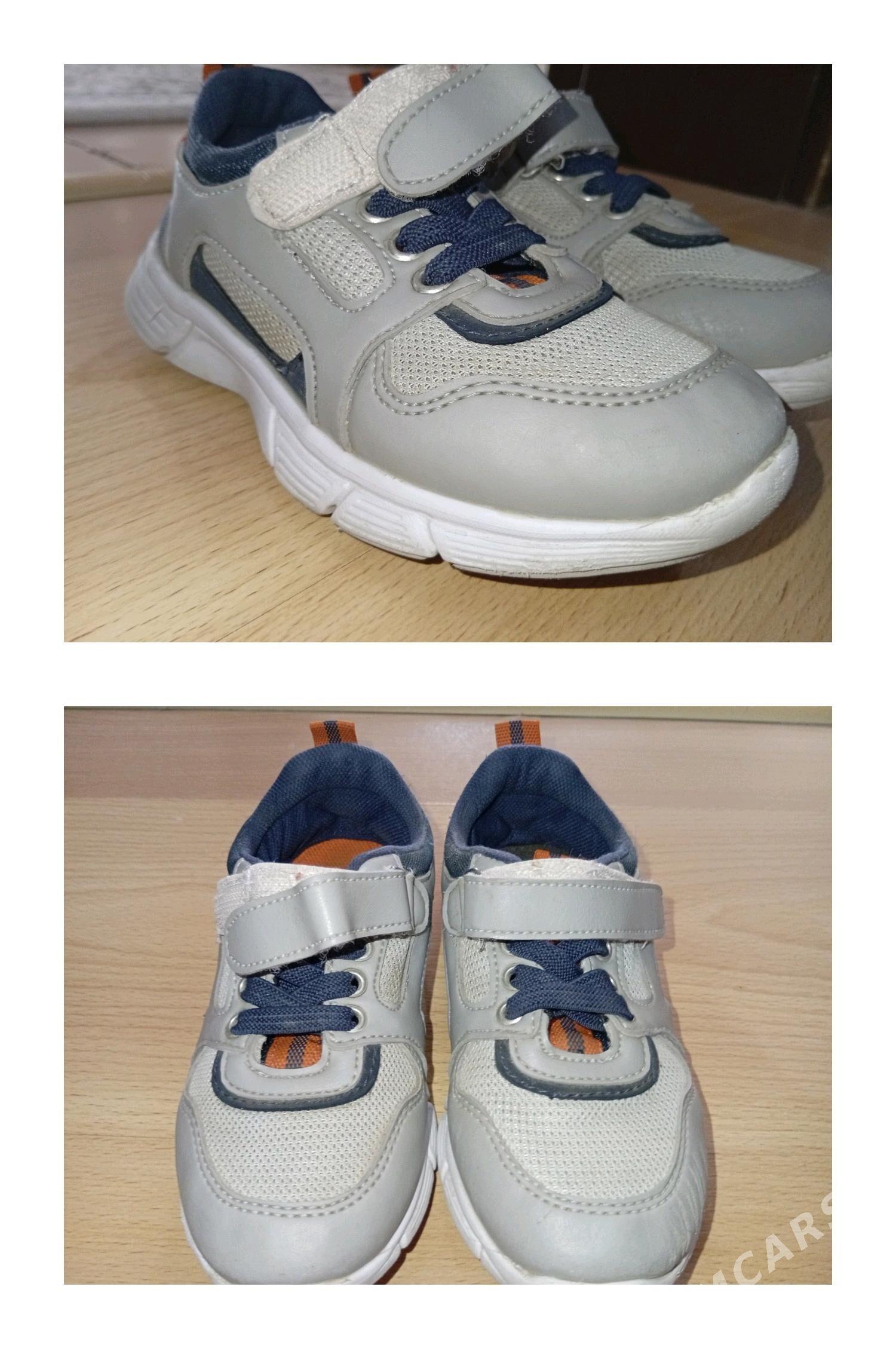 caga kowusleri - Кëши - img 2