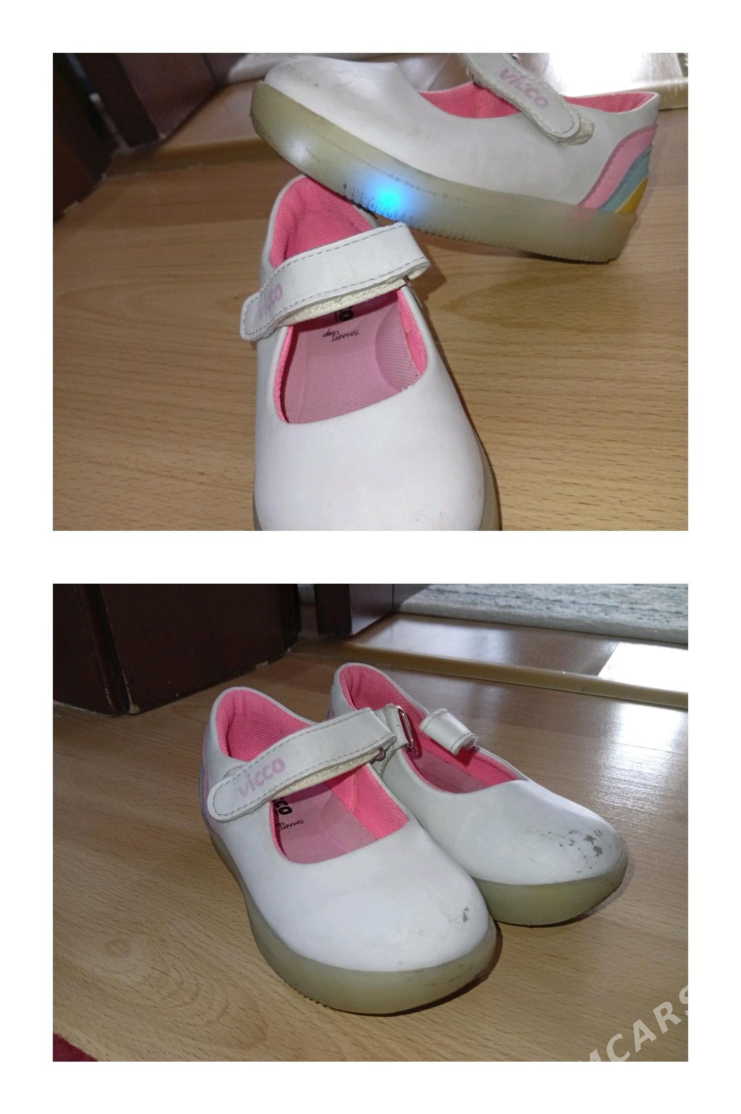 caga kowusleri - Кëши - img 3