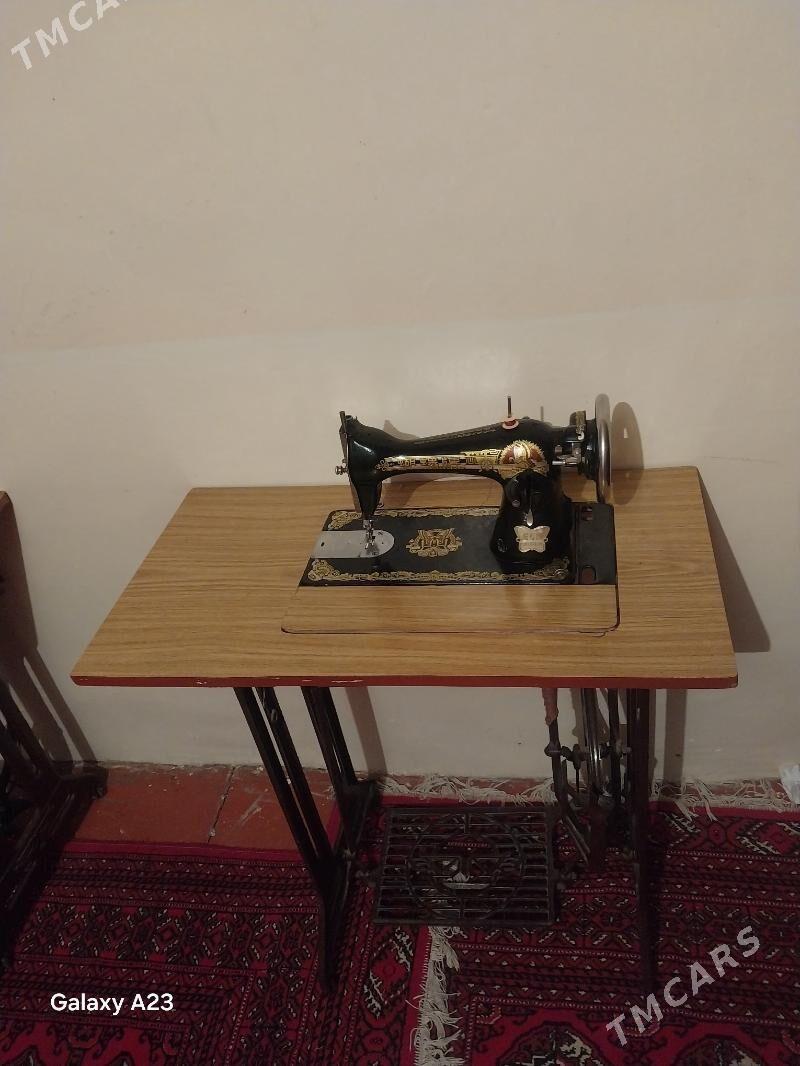 tikin masin - Кипджак - img 3