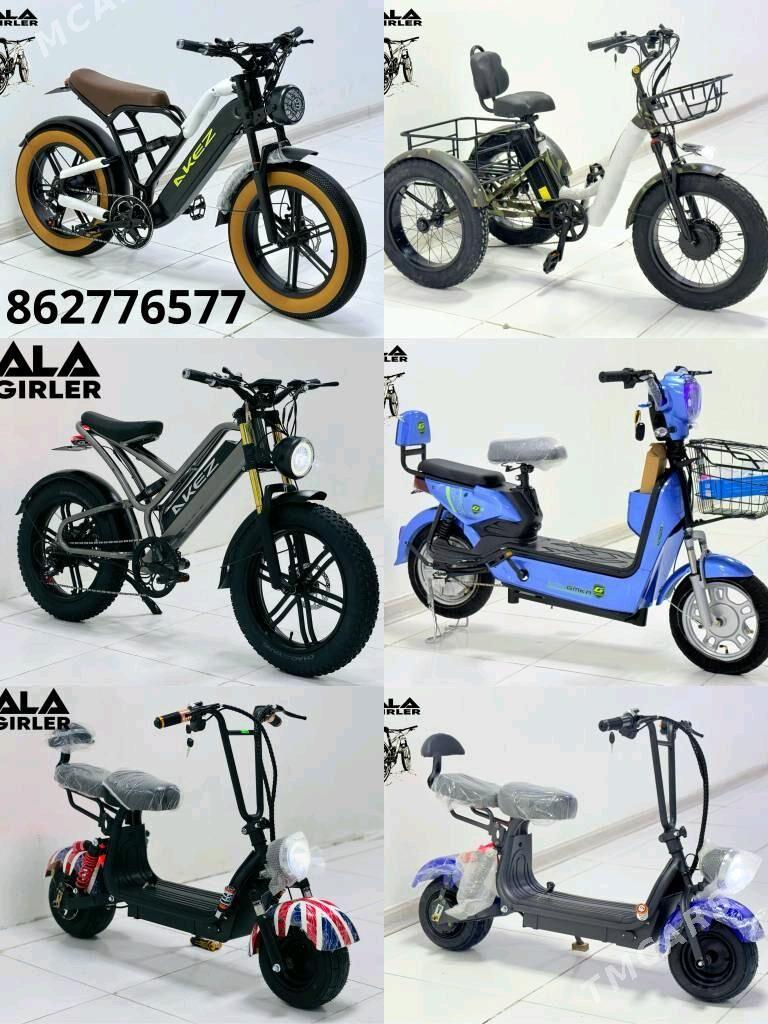 TIGIR SAMAKAT ZAPJAS BATAREY - Gurtly - img 8