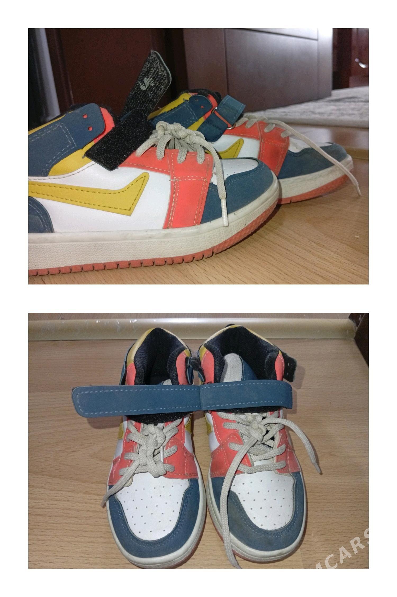 caga kowusleri - Кëши - img 6