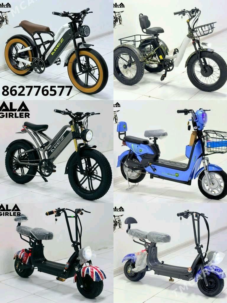 TIGIR SAMAKAT KALYASGA HADINOK - Gurtly - img 2