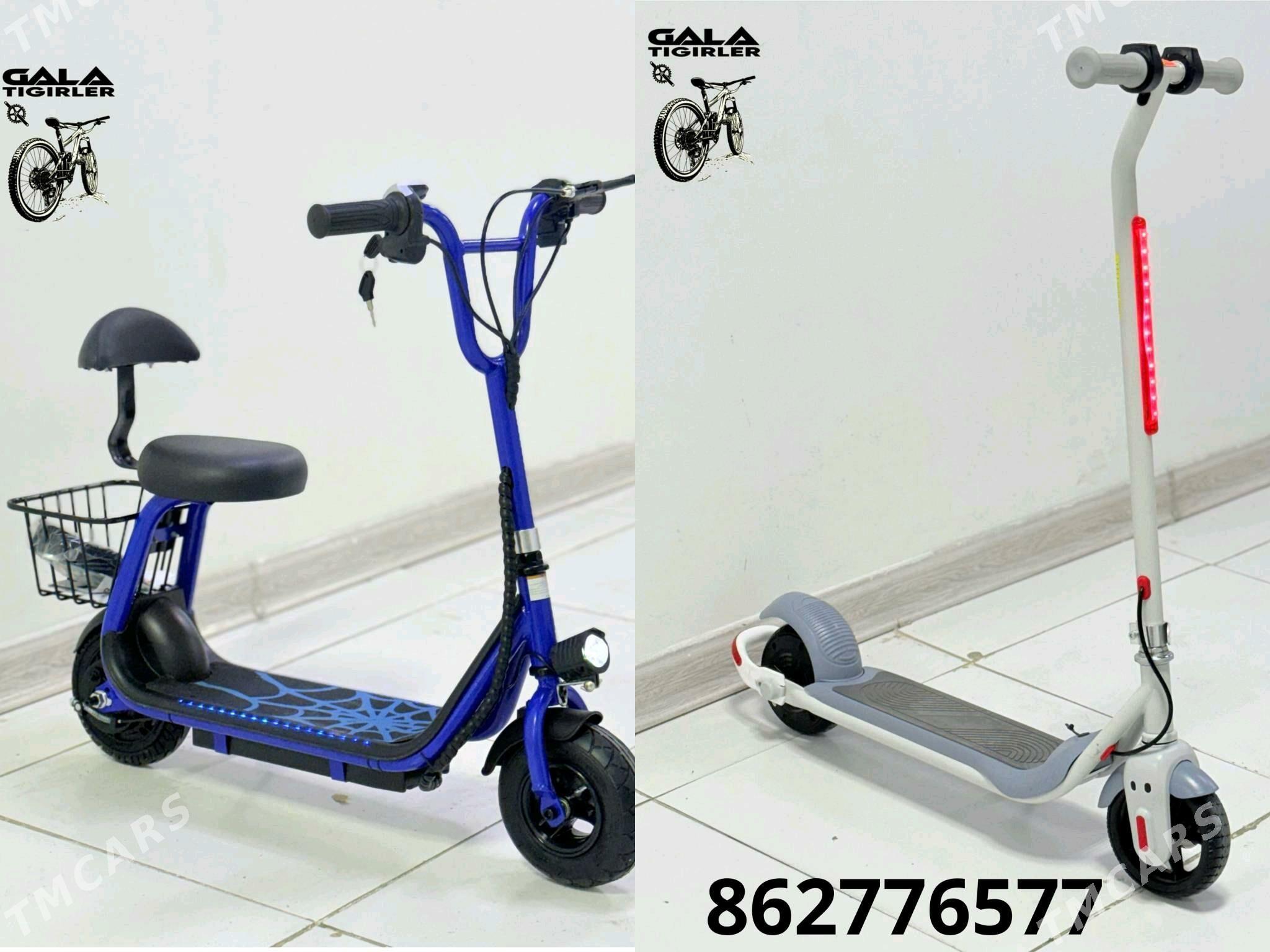 TIGIR SAMAKAT KALYASGA HADINOK - Gurtly - img 6