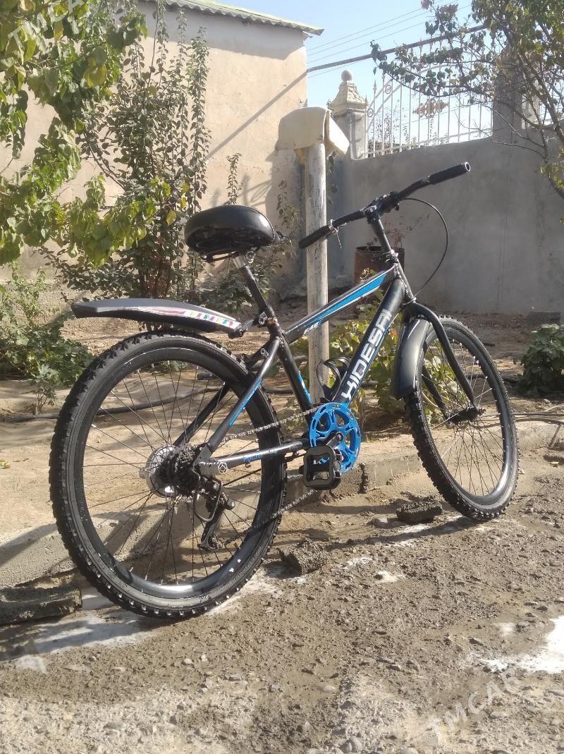 Tigir - Гёкдже - img 2