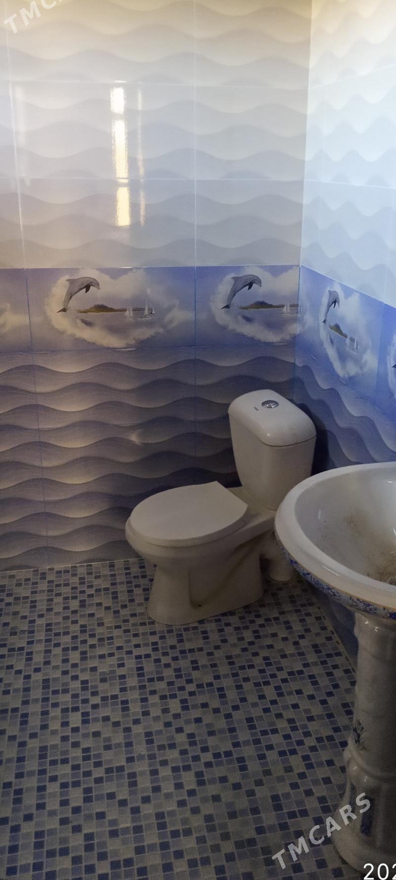 satlyk jaylar - Mary - img 5