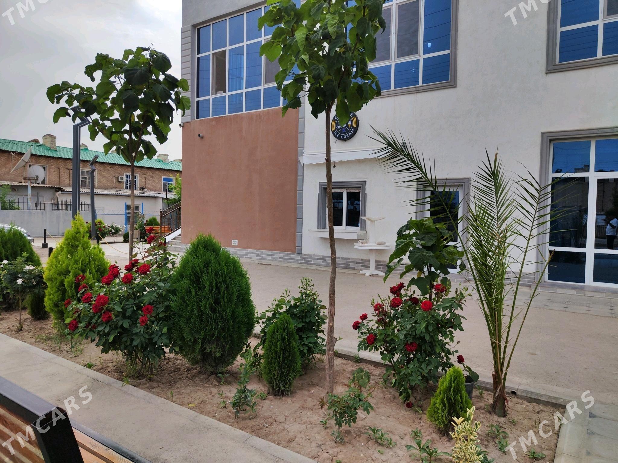 Ilata hyzmat edis nokady - Daşoguz - img 1