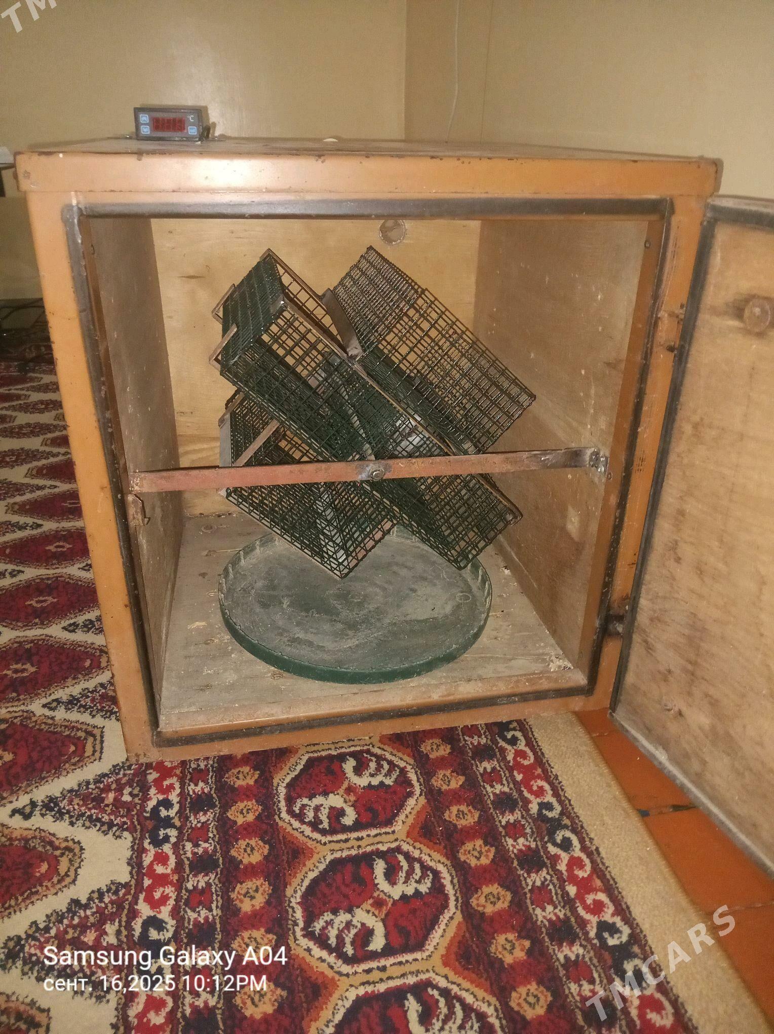 inkubator - Гызыларбат - img 2