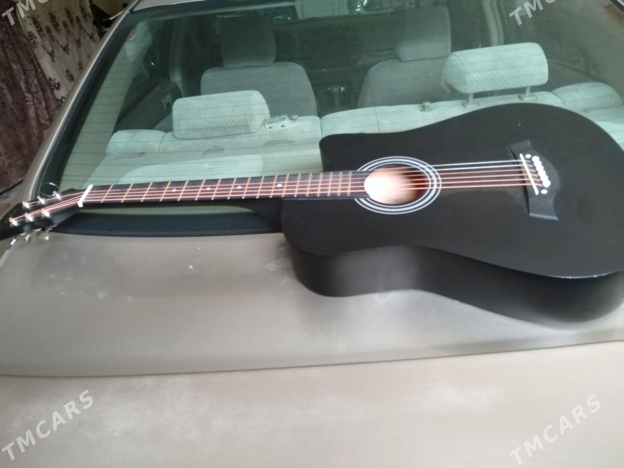 Gitara - Балканабат - img 4