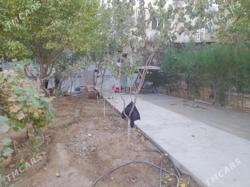 satlyk jaylar dasaf - Досааф - img 8