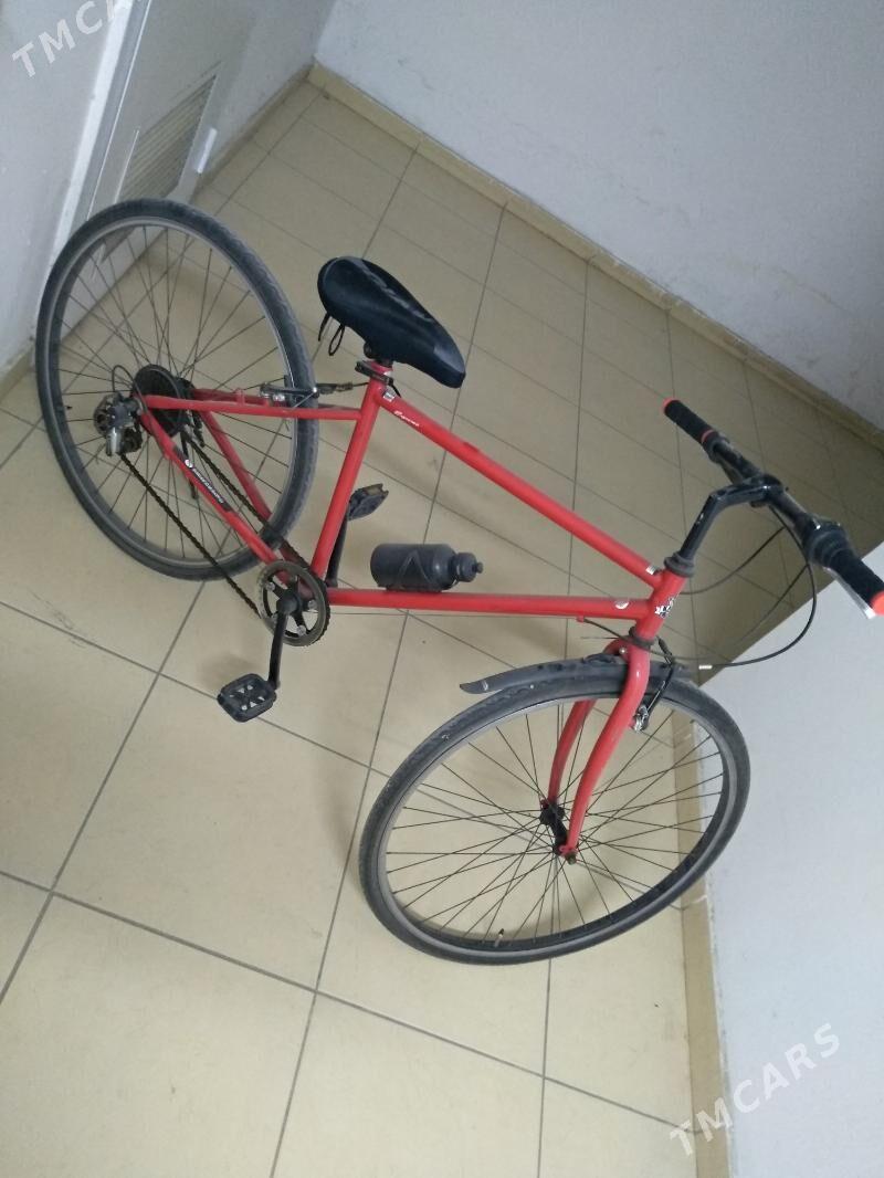 Tigir Original - Ашхабад - img 2