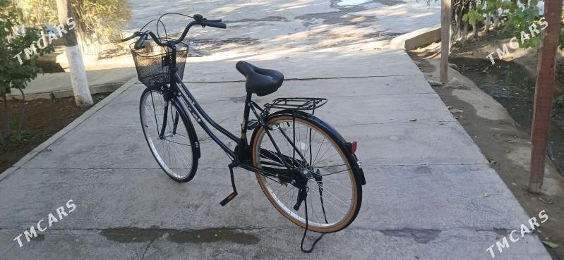 tigir - Gyzylarbat - img 3