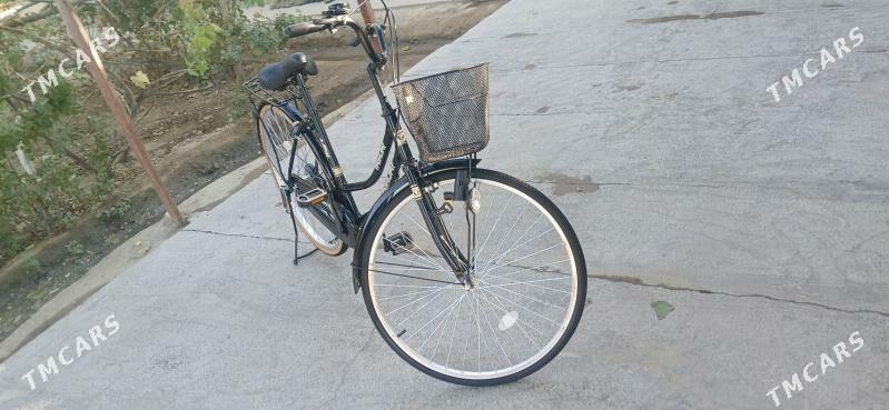 tigir - Gyzylarbat - img 1