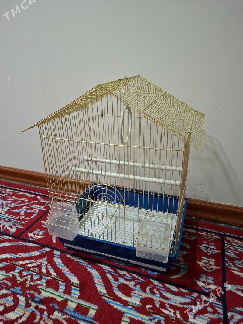 kletka - Aşgabat - img 2