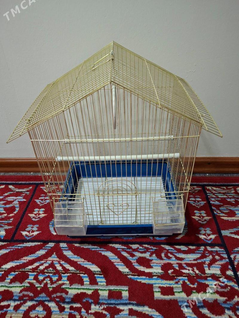 kletka - Aşgabat - img 3