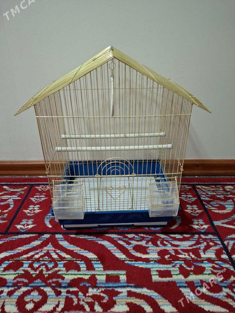 kletka - Aşgabat - img 1