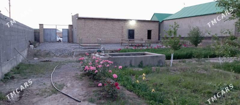 Satlyk ýer kakada - Кака - img 2