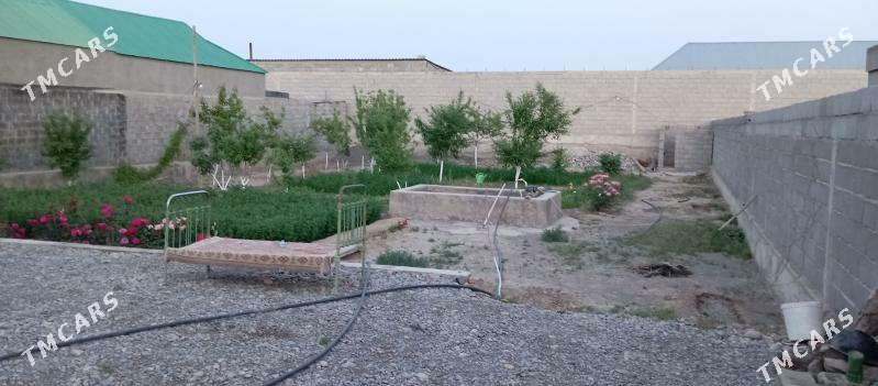 Satlyk ýer kakada - Кака - img 3