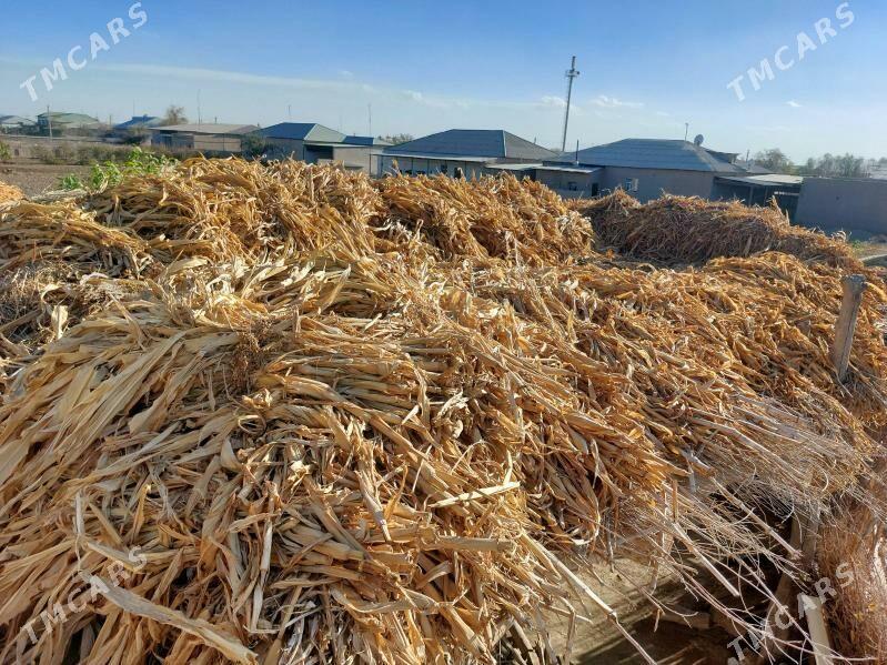 от мекке - Şabat etr. - img 3