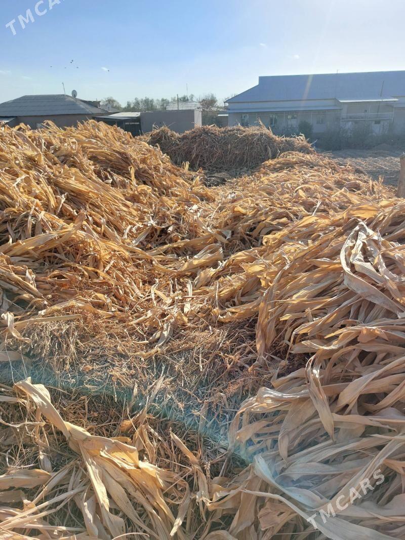 от мекке - Şabat etr. - img 2